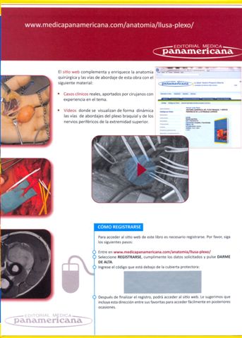 Surgical Anatomy of the brachial plexus and peripheral limb nerves top 