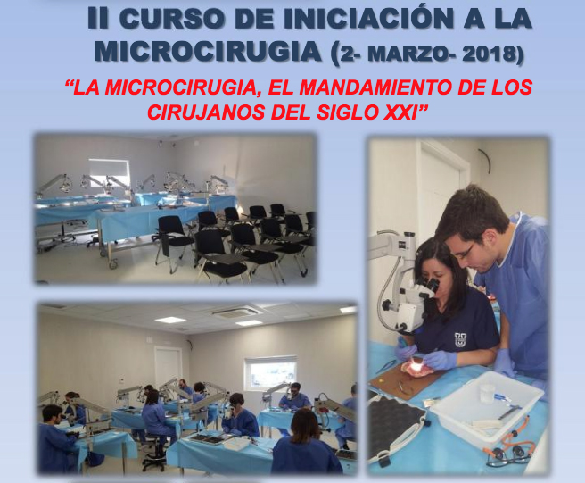 II-curso-iniciacion-microcirugia