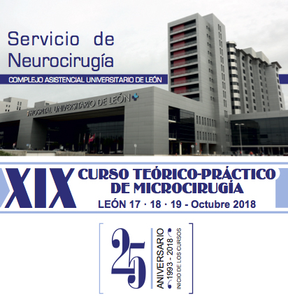 XIX CURSO TEORICO-PRACTICO DE MICROCIRUGIA